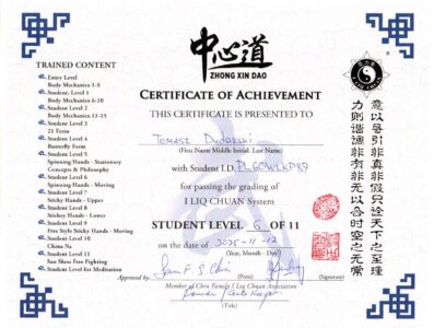 ILC-student-level-6-tomasz-dudarski-web